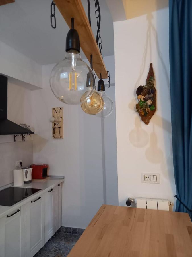 Apartament Wwa Moonlight Vibes Sinaia Zewnętrze zdjęcie